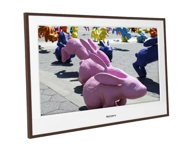 Sony